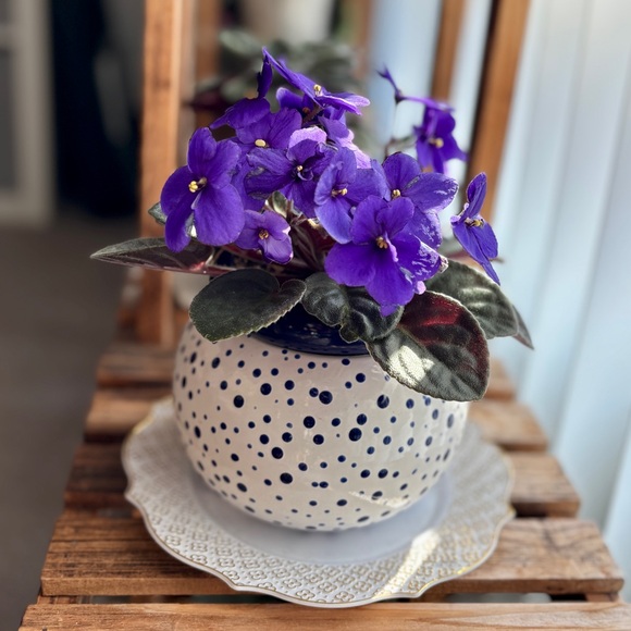 marilou50